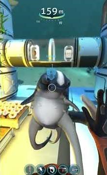 Cuddle fish farewell Scene #easteregg #subnautica #fyp #cute #cuddlefish #subscribe