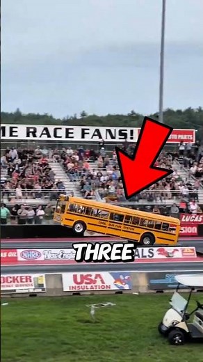 What Type of Bus Is This? Find Out! 🧐🚌