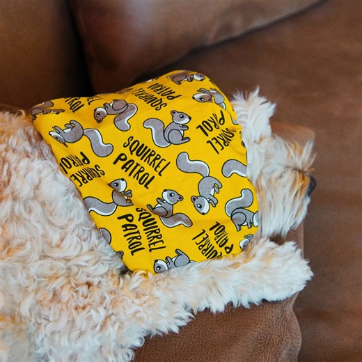 Squirrel Patrol Dog Snood for Long Ear Dog With Brown Bow | Non-slip Ear Protector for Cavalier, Cocker, Doodle, Basset |fall Dog Gift Idea - Etsy