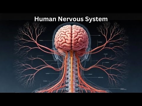 One system. Infinite signals 🧠From thoughts to movement — it controls EVERYTHING!