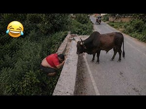 😂 TOP 100 VÍDEOS MAIS ENGRAÇADOS DE TODOS OS TEMPOS | TENTE NÃO RIR #1