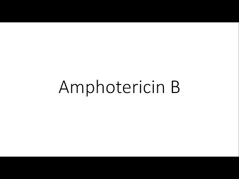 Amphotericin B - Pharmacology