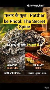 पत्थर के फूल | Patthar ke Phool: The Secret Spice with Health Benefits! 🔥🥵#facts #healthtips #shorts