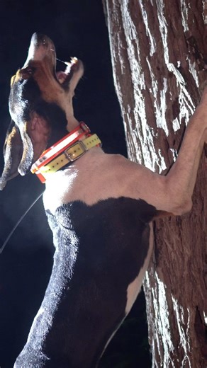 2.1K views · 843 reactions |  SOUND ON  LISTEN to Less Fame More...