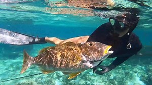 318K views · 6.3K reactions | Join Strick & Fran as they go...