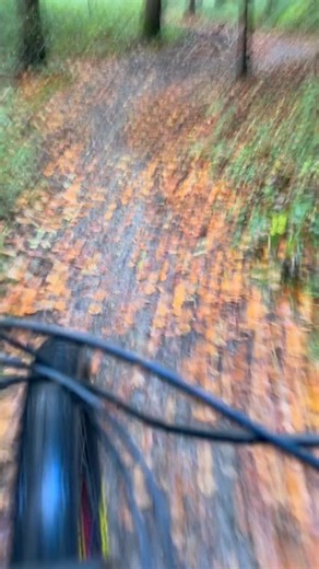 It was lovely in the woods this afternoon. It’s so important to keep fit as you get older. But I mainly do this because I LOVE it. I feel so much better (if a lot muddier) afterwards. Fight the decrepitude! | Alice Roberts