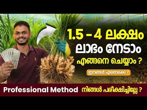 How to Start Ginger Farming ? | Ginger Farming Explained | Ginger Farming Malayalam