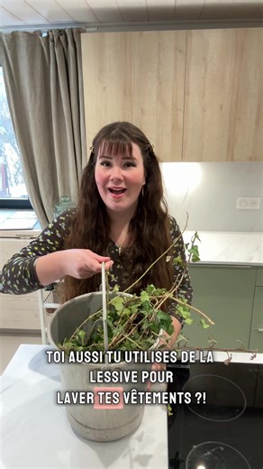 🤔 Le problème avec la lessive industrielle ? C’est un cocktail de parfums synthétiques, de conservateurs allergisants, de tensioactifs irritants parfois composés de pétrole, de colorants à gogo et de 100 autres trucs dégeulasses pour notre santé qui restera même après de très nombreux lavages dans nos vêtements donc en contact direct avec notre peau, nos muqueuses et qui sont renvoyés directement dans nos eaux usées, donc dans notre nature ! ✅ Après avoir récolté, rincé et frotté 50 feuilles de