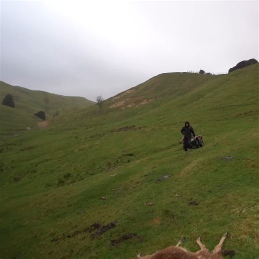 🏹 WILD DEER Catch & Cook – 400m Shot, Epic Feed by the Fire 🔥 Field Days Merch https://www.fielddaysshop.com | Field Days