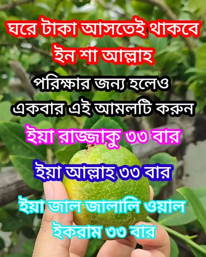 797K views · 8.3K reactions | The history of #photography began with...