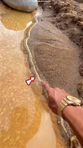 Gold Found Using a Pan on the Seashore 😲 #shots #facts