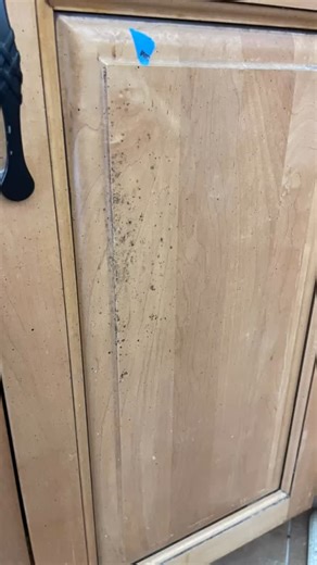 We don’t notice how much we grab our cabinets until… well… I start cleaning them 😅 Grease, fingerprints, scratches, mystery marks (don’t worry, I’ve seen it all). At Dream Cabinet Painting, the real magic happens before the paint — ✨ Deep clean ✨ Degrease ✨ Sand repair ✨ Prime ✨ THEN the beautiful finish. Because I’m not here to “cover it up”… I’m here to transform it. | Dream Cabinet Painting, LLC