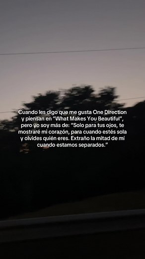 One Direction - If I Could Fly Music Video Lyrics