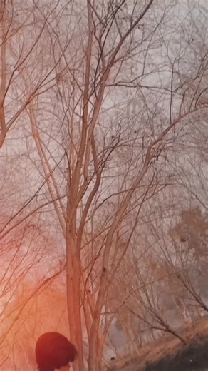 ta zan na kha yam 🥰#foryou #fyp #foryoupage #tiktok #CapCut