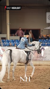 2.6K views · 1K reactions | Day 1 of the Scottsdale Arabian Horse Show is a wrap! Excited for the rest of the show and all the amazing horses and events to come! ✨ Thank you to our video sponsor, Custom Collars Boutique. #NationalHorsemanArabian #ForTheLoveOfTheArabianHorse #Scottsdale25 #Arabian #Equestrian | National Horseman Arabian | Facebook