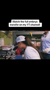 1M views · 14K reactions | Watch Beyoncé’s full embryo transfer video on my YT channel! Link to watch is in the comments! | Katie Van Slyke | Facebook