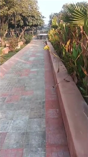 Umberto Eco’s “Interstices” & Empty Spaces ✍️📚 Explained | Class 12 English The Interview #shorts