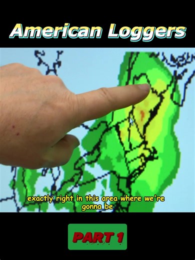 Exploring the Thrill of Logging Life with Heavy Machinery