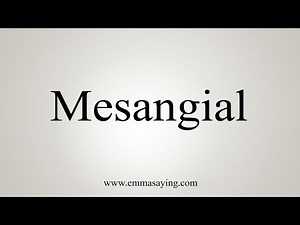 How To Say Mesangial