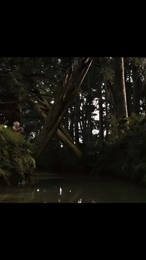 Heartbreaking Bridge to Terabithia Rope Swing Video