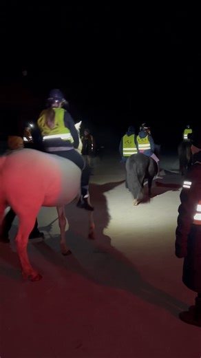 En kväll med strömavbrott på ridskolan.. tur vi har gott om pannlampor och reflexvästar -mysig månskenstur barbacka! 🥰 | Skällsta Ryttarcenter