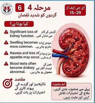Understanding Chronic Kidney Disease: Causes, Symptoms & Management