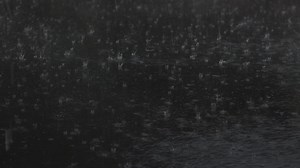 Download Slow motion of rain drops water for free