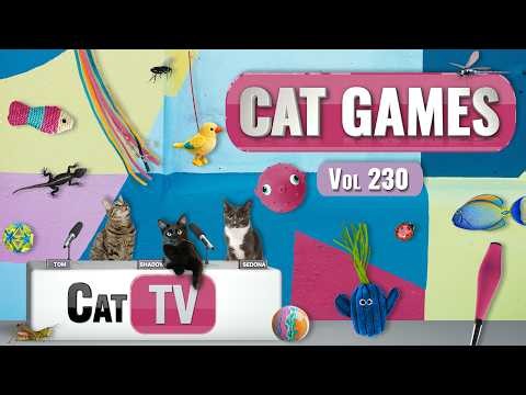 CAT Games | Ultimate Cat TV Compilation Vol 230 | 8 HOURS 🐝🐞🦋🦎🦜🐜🐭🧵