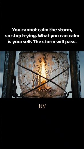 How to Stay Calm in Chaos ❄️🔥 #stoic