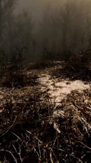 Digested is a new horror-survival game that has you fleeing a giant snake that wants nothing more than to eat you alive. #horrorgame #horrorgames #gaming #videogames #snakes | TheGamer