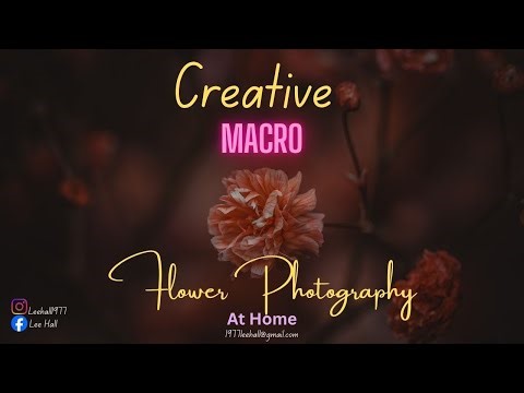 Creative macro flower photography at home