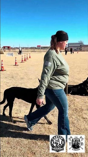 Group obedience sessions at our training club gathering. All types of dogs training!