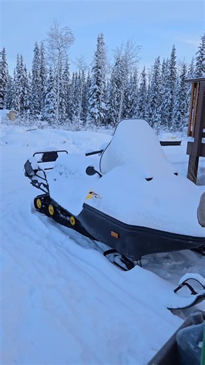 Simple Living Alaska on Instagram: "Here we go! A quick groom around the yard before the real cold temps arrived. Eric, my knight and shining armor, got the Skandic running near negative 30° degrees Fahrenheit after several dozen pulls 💪"