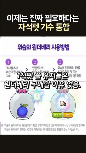 The integration of magnetic pet riders that is now truly needed