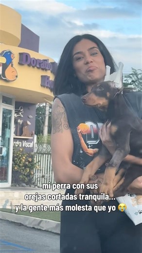 sin pelear 😭solo curiosidad… ¿qué opinan? #model #puertorico #doberman #shorts #debate #opinion