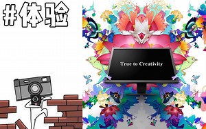 如何辨别真正好的电脑屏幕 / 售价破万的1080p显示器体验 / 艺卓专业显示器 / CG2420 CS2420