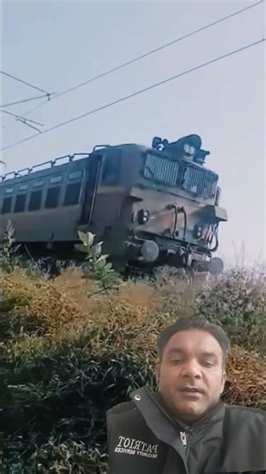 A disabled duckling helps his catfriend #DuckRescue #CuteAnimal#AnimalRescue