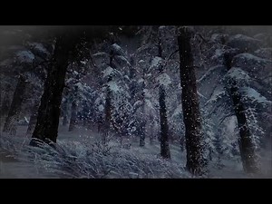 Snow storm at night in a spruce winter forest with sounds of falling snow ASMR | Blizzard ASMR