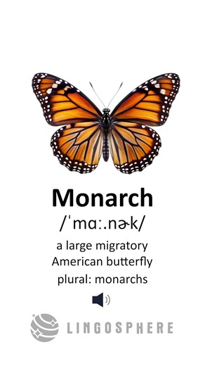 Learn English Vocabulary 👑 | What Does “Monarch” Mean? (Definition + Pronunciation)