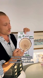 Wie ist so ein Baum überhaupt aufgebaut?& Eiche ist übrigens ein Kernholzbaum. 🙏Die Markröhre wäre hier noch zu erwähnen:Die befindet sich in der Mitte des Stammes. Das Mark besteht aus abgestorbenen Zellen der ersten Jahre.#holz #carpenter #hochdiezimmererkunst #tipps #tricks #howto #knowledge #zimmermann #ausbildung #natur #eiche #baum #baumscheibe #basic #wissen #fachwissen #diy #fy #fyp | Laurin Bock
