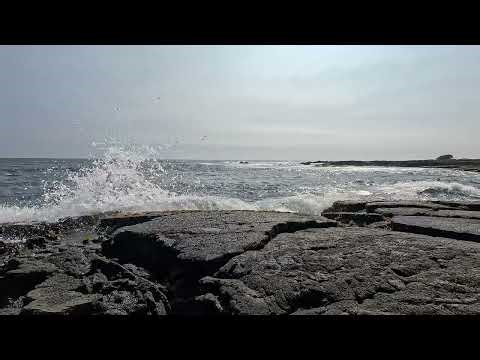 8 Hours | Black Sand Beach – Big Island Hawaii Ocean Waves for Sleep (No Music, 4K)
