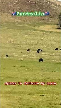 Why the Sydney to Canberra Train is Worth the Trip