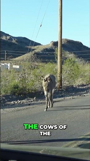 Radiator Springs' Real Inspiration