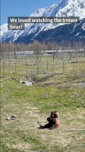 Visit the Alaska Wildlife Conservation Center