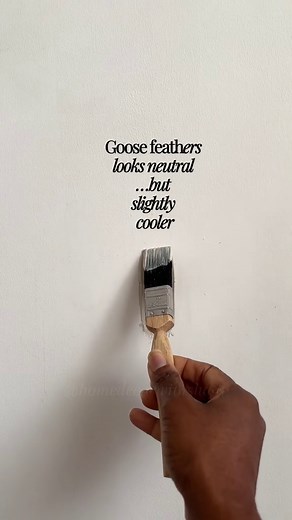 Warm Neutral Paint Undertones Explained