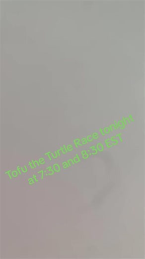 Tofuuuuuuuuu! The race is on tonight at 7:30 and 8:30 EST! Follow these lovely ladies to make sure you see both divisions! @Allyrose @Morgan’sCute&CozyCo. @MEL 🌙🦉🧶 @Raine Days Crochet (Alicia) @Suko (Sue) @Waka's W.I.Ps 🧶 @Rainbow Craft Collective @J.T.Creations 🐢Ashlee🐢