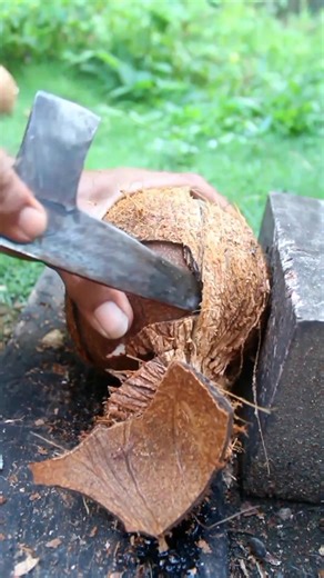 Good work for removing coconut from its shell #coconut #satisfying | Handika Amiranto