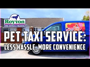 Royvon Pet Taxi Service: Less Hassle, More Convenience