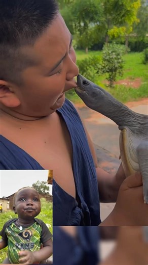 Unexpectedly! His Mouth Becomes the Target #funny #shorts #viral