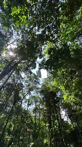 Cubaan 1, 2, 3. Testing, testing 1, 2, 3. Cubaan status, satu dua tiga #AdaKeYangTengok #Hello #Reply #AnyBodyHome? | ABSTRAX Jingga | Facebook